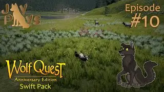 Danger in the Shadows | Moxie's Quest #10