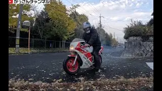 YSR80&NSR250「コック&ウィンカー」
