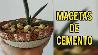 Mira qué hermosa maceta de cemento puedes hacer!