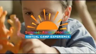 Virtual Camp 2020