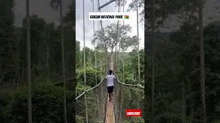 My Senegalese friend visited the Kakum National Park in Ghana #CapeCoast #Ghana #visitGhana