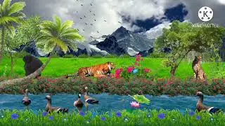 beautiful animal nature animation video!!animation vfx effect  video!! Animation video