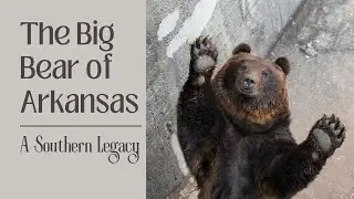 The Arkansas Big Bear: A Legend of Unbelievable Proportions