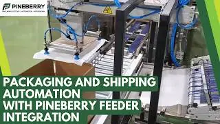 Packaging Line and Shipping Automation with Friction Feeder Integration
