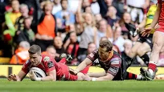 Scarlets four tries downs Newport Gwent Dragons | Guinness PRO12 Highlights