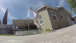 Backyard Antics