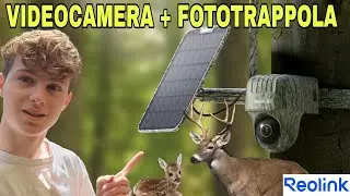 La Prima FOTOTRAPPOLA-VIDEOCAMERA 4G, Test & Montaggio Reolink Go Ranger 4k