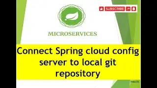 Step06 : Connect Spring cloud config server to local git repository