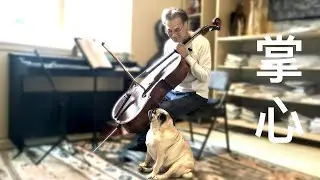 掌心 / Kai's Cello