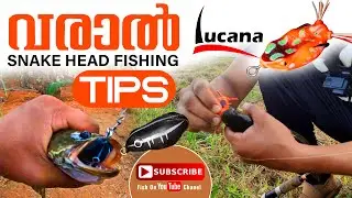 SNAKE HEAD FISHING TIPS, varal fishing kerala, lure fishing, fish on