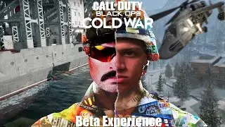 Black Ops Cold War Beta Experience