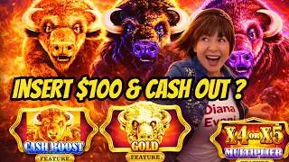 BUFFALOS ARE CHASING ME TO GRAB THEIR CASH BACK!