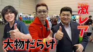 【日本最大級】爬虫類界の大御所が大集合！激レア＆高額個体だらけのJRS！