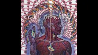 Tool - The Patient (Guitar Cover with Tab)