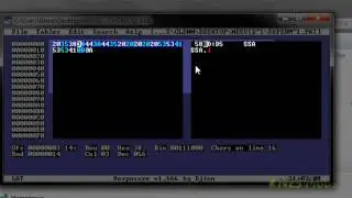 Game Genie Encoding