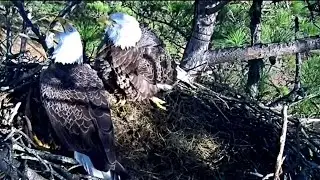 Berry College Eagles~Meat Gift for Berry Mom ~1:32 PM 2020/01/05