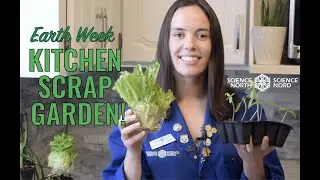 🌎 Earth Week &mdash; Kitchen Scrap Garden!