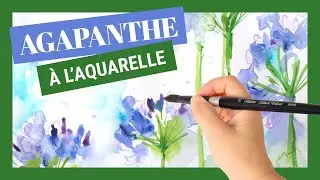 Peindre des agapanthes &agrave; l'aquarelle - FACILE