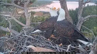 Evening of December 9th, Big Bear Valley 2025 @FOBBVCAM