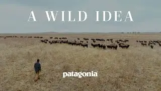 A Wild Idea | Buffalo, a Boot, and a Family&rsquo;s Work to Save the Prairie