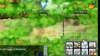 MapleStory lvl 7x F/P Mage