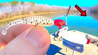 A Wintertime Fishing Lure Crappie Can't Resist! (Fish Every Cast!)