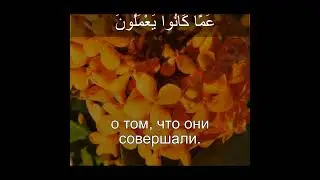 Коран Сура Аль Хиджр 90-94 | Чтение Корана с русским переводом | Quran Translation #quran
