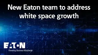 New Eaton team to address white space growth