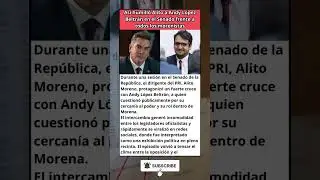 As&iacute; enfrent&oacute; Alito a Andy L&oacute;pez Beltr&aacute;n en el Senado ante la mirada de los morenistas