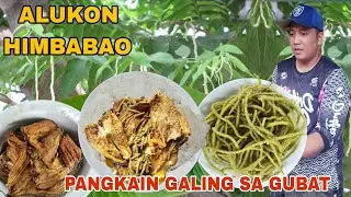 Kakaibang gulay Sa Gubat  Himbabao Alukon Hindi kilala sa aming lugar Masarap ginisa...