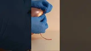 Balloon vs Needle! Will It Pop or Survive?!🎈#balloon #tricks #balloonpop#funny #shorts #science #wow
