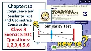 Exercise 10C Question 1, 2, 3, 4, 5, 6,  &ndash; (SimilarityTest)  Complete solution &ndash; APS Math Class 8.