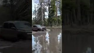 2022 Nissan Frontier Pro4x going for a swim
