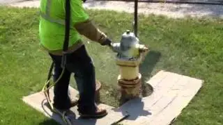 Giant Maintenance and Restoration