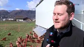 Vom Hühnermobil bis zur Weidehütte – Sonnenhuhn denkt Landwirtschaft anders