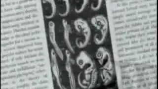 Dawn of the Dodo, Icons of Evolution under scientific scrutiny 3/9