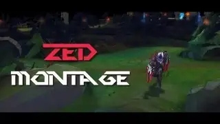 Unf0rgiven Zed Montage 1