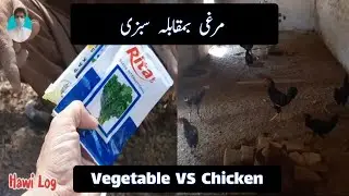 Vegetable Vs Chicken | مرغی بمقابلہ سبزی |  Hawi Log