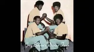 Various - Greg Belson &ndash; Divine Funk (Rare American Gospel Funk And Soul) 60's 70's Music Album LP