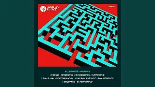 Fox in the Box (Original Mix)