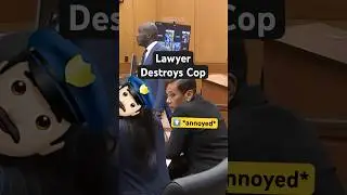 Адвокат уничтожает полицейского