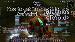 WoW Classic: SM Cathedral Fastest EXP farm!