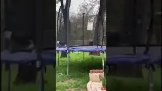 Try not to laugh