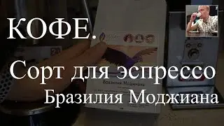 Кофе Бразилия Моджиана. Пробуем сорт для эспрессо, рекомендации и рейтинг
