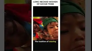 LONG NECKED WOMEN OF THAILAND