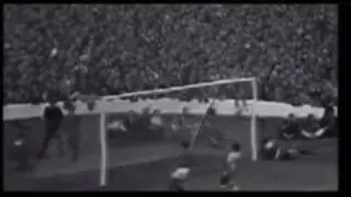 Eusebio, The Black Panther