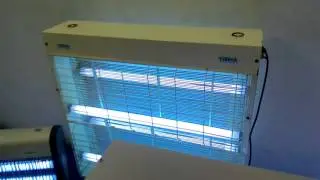 Insect Fly Killer, Fly Catcher, Chennai, India, bangalore