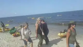 Kayaking At The Bayshore Waterfront Park Wind N Sea End Of The Summer Festival