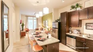 AMLI 5350 Apartments For Rent | North Central Austin | UT Austin TX Apartments | Austin Residence