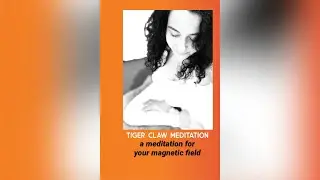Magnetic Field Meditation